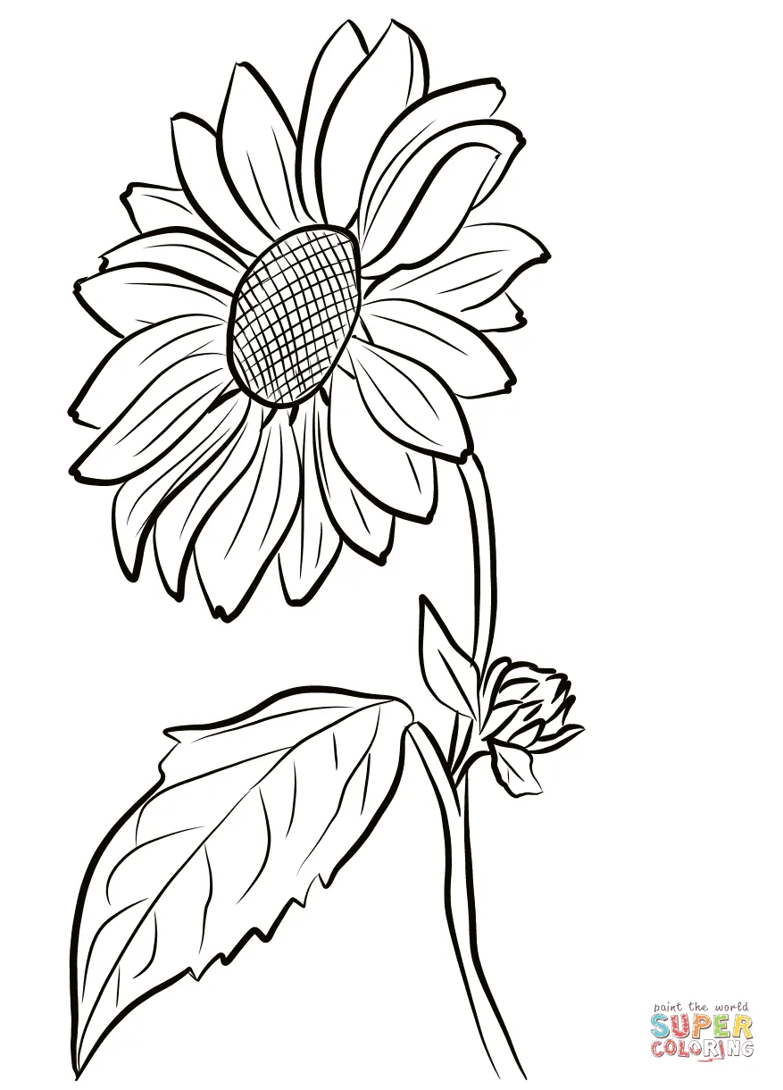 Free printable coloring pages