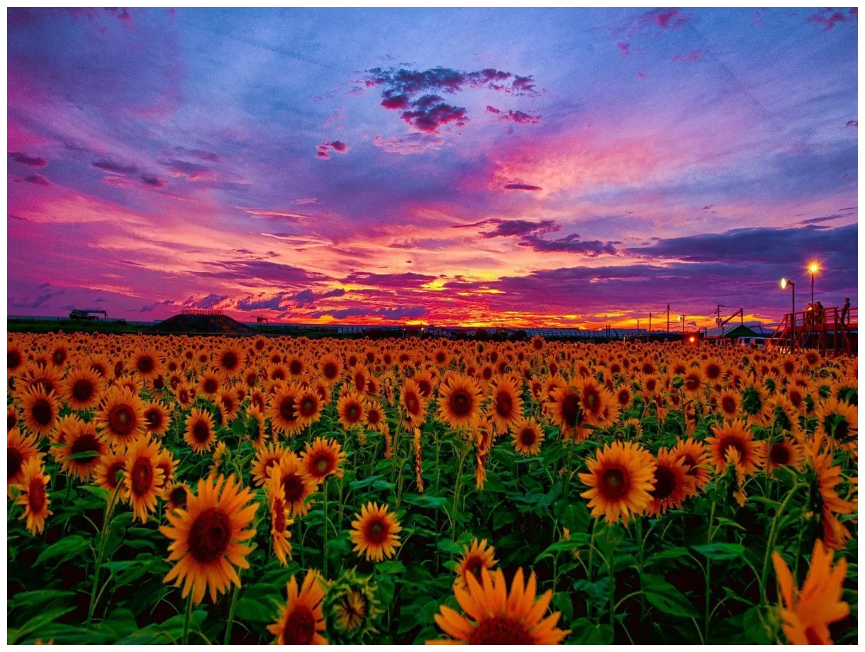 Sunrise sunset s top free sunrise sunset s printable coloring page