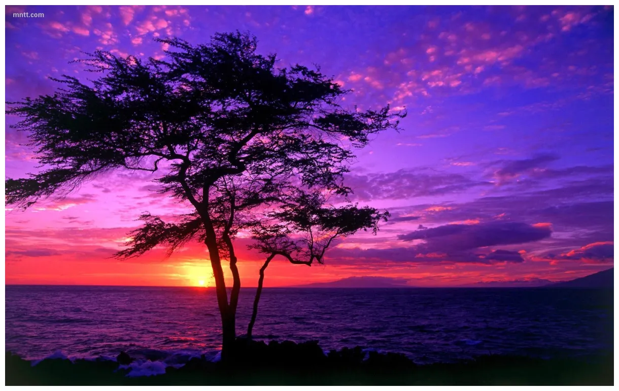 33 beautiful sunrise and sunset pictures the wow style