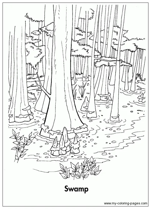 Swamp coloring coloring pages