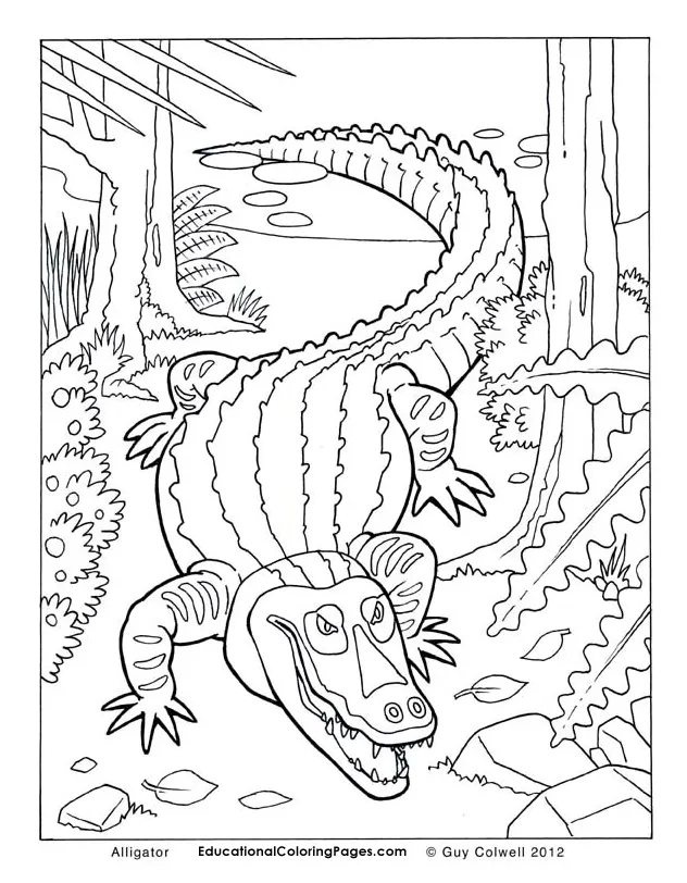 At getcolorings free printable colorings