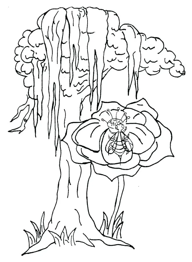 At getcolorings free printable colorings