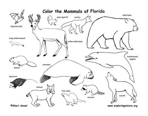 At getcolorings free printable colorings