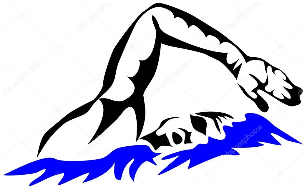 Freestyle swimmer — stock vector © bokononist #83669104