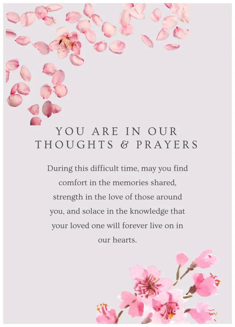 Sympathy message categories archives cards