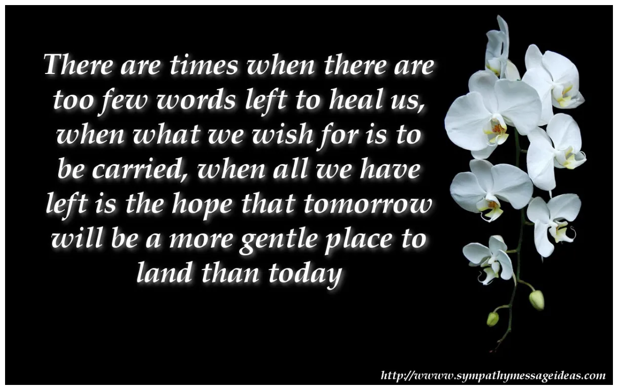 75 examples of what to write in a sympathy card