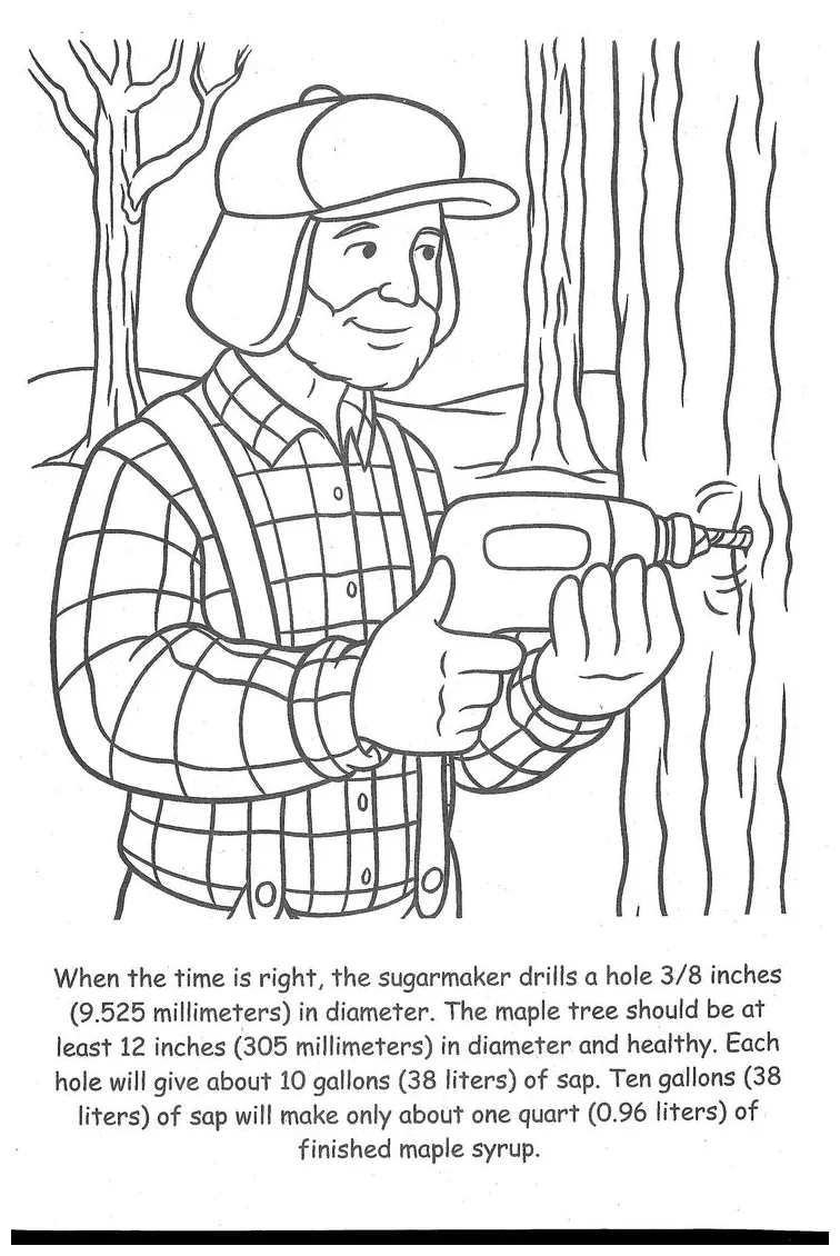 Maple pdf coloring pages
