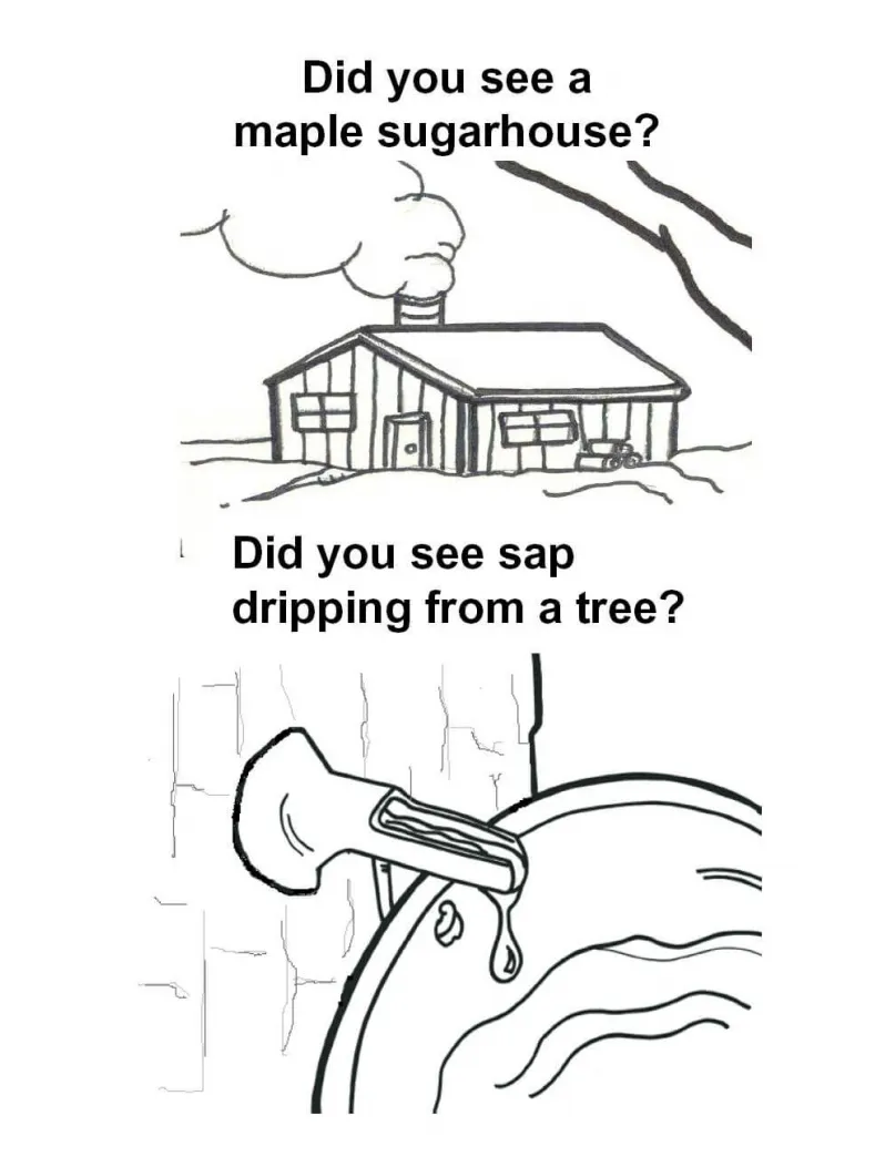 Maple s coloring pages