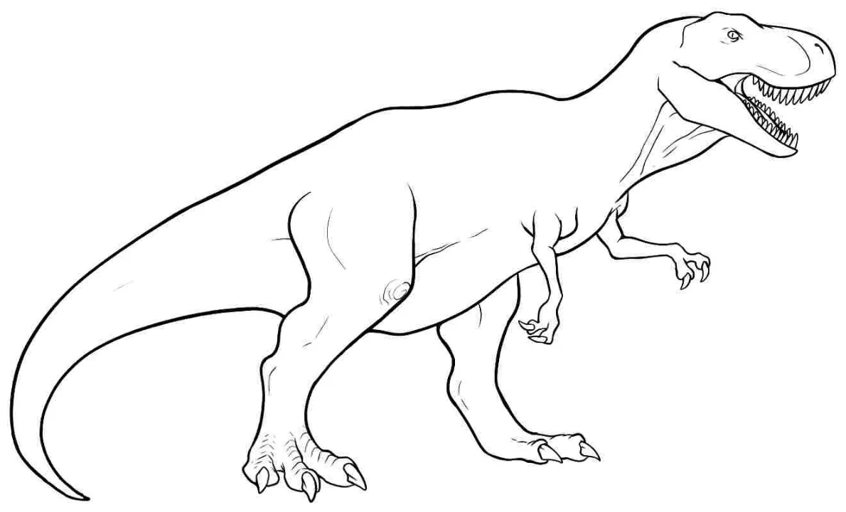 T Rex Coloring Page & coloring book.