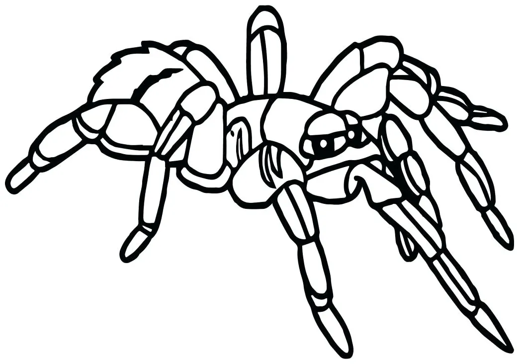 At getcolorings free printable colorings printable coloring page