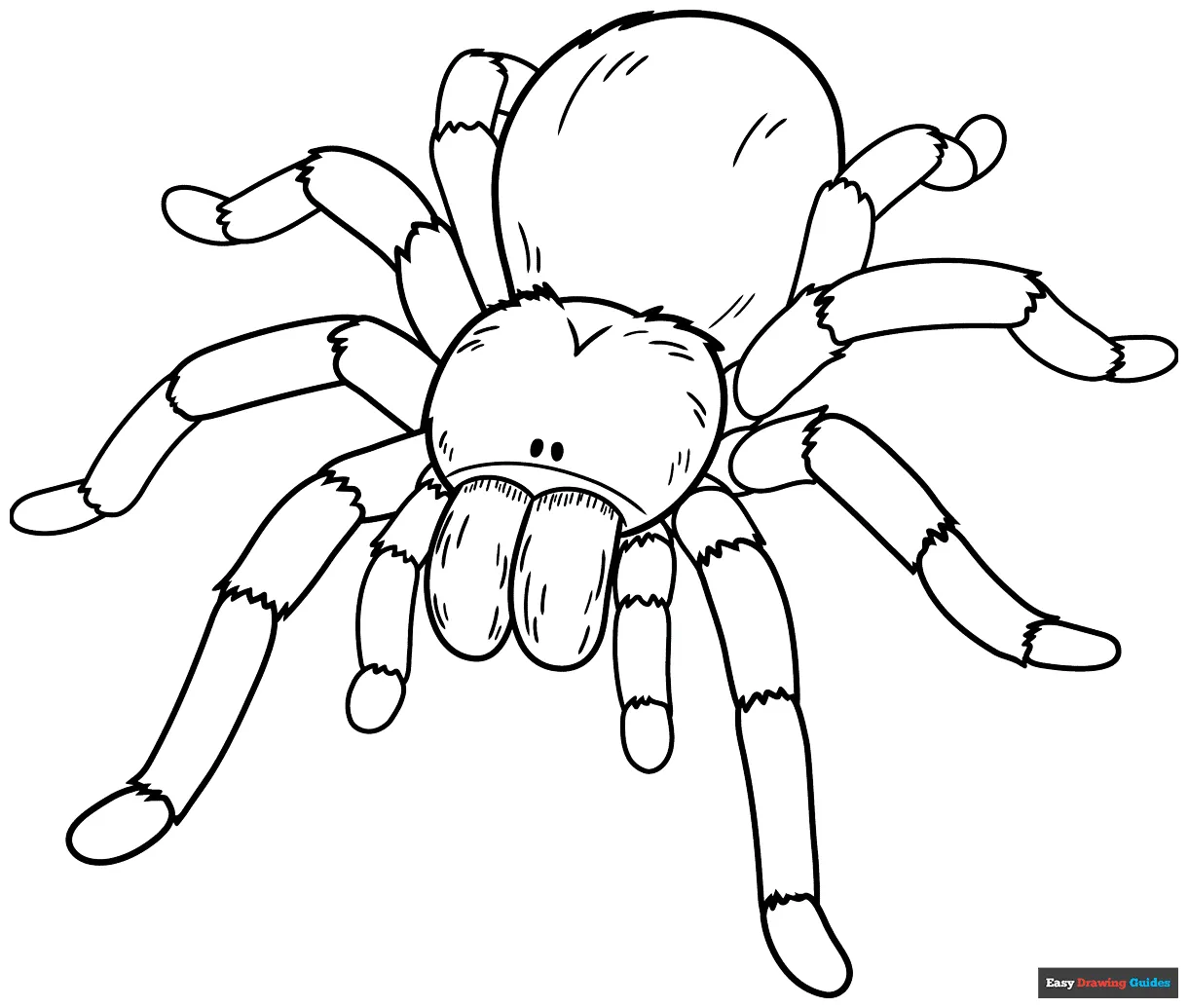 Tarantula Coloring Page | Easy Drawing Guides