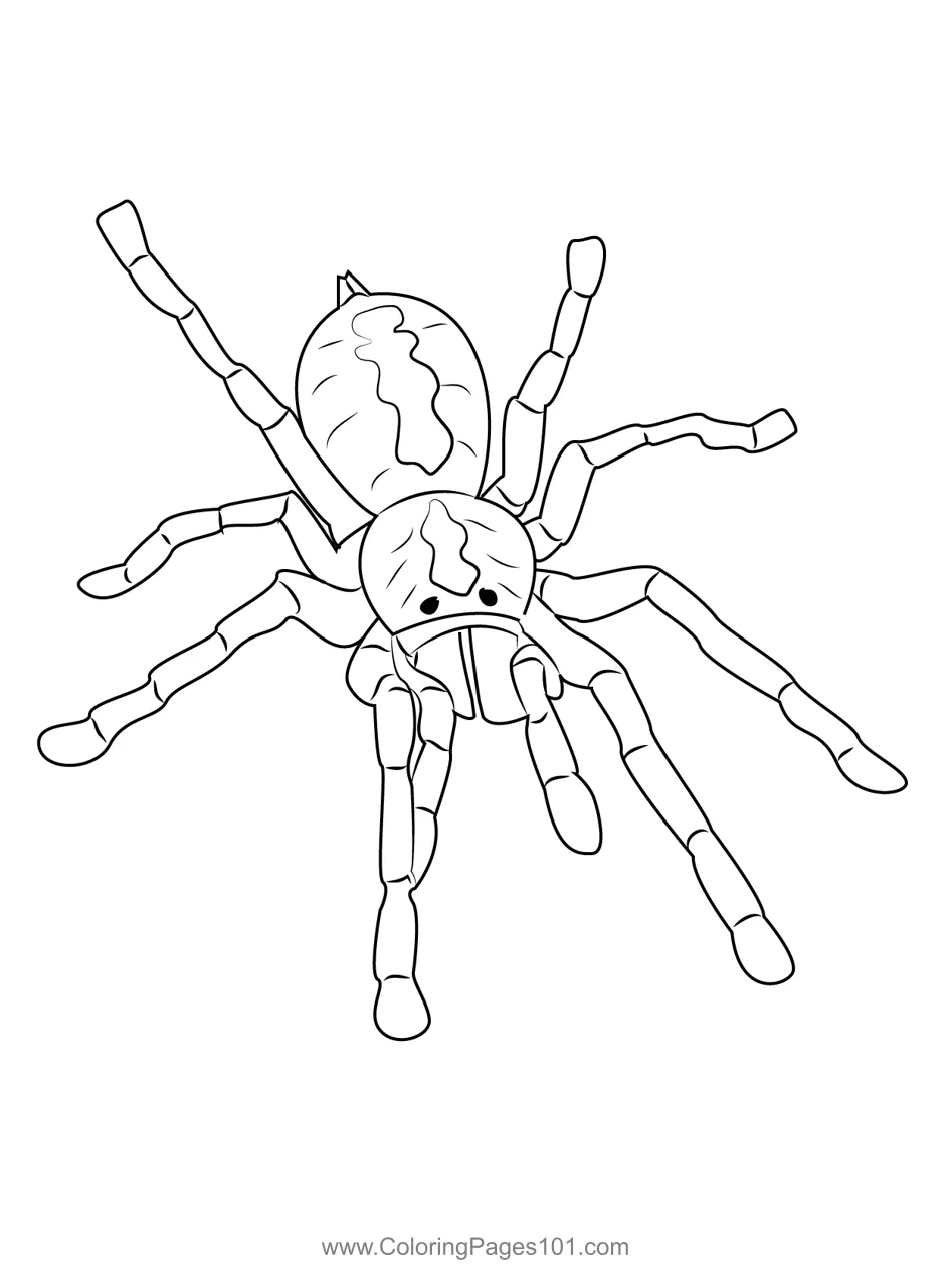 Coloring pages