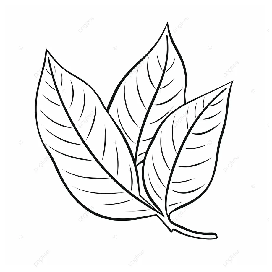 Basic simple cute cartoon leaves outline