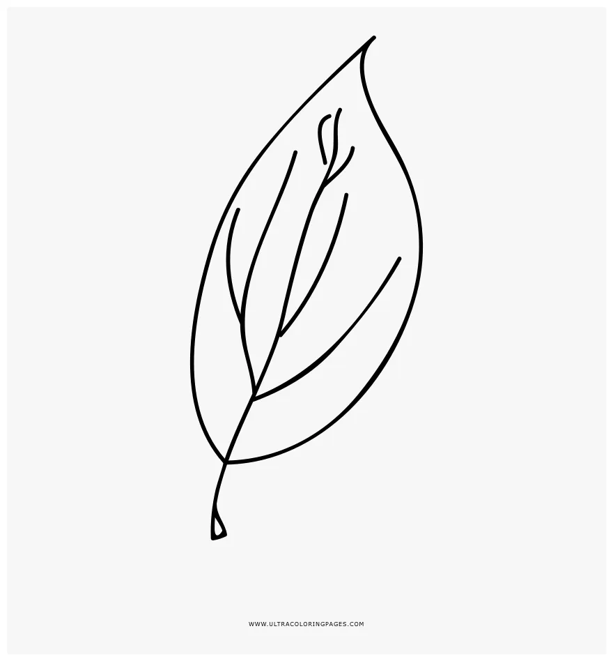 Line art, png download kindpng