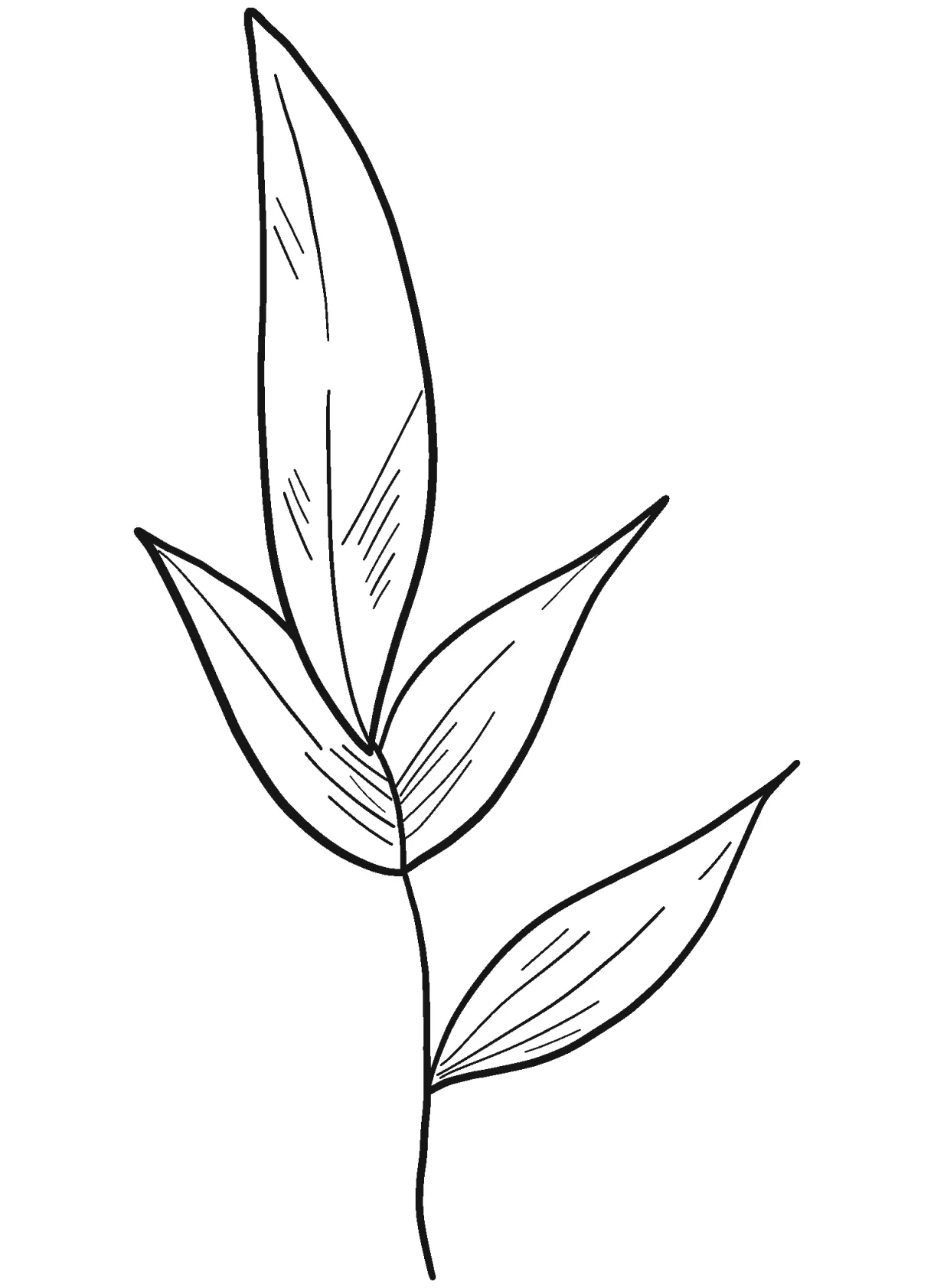 Tea leaves coloring page colouringpages