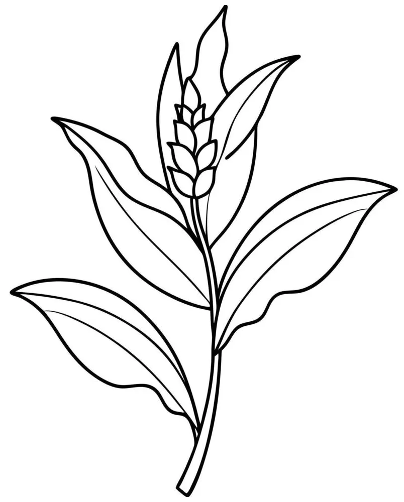 S 51004313 vector art at vecteezy