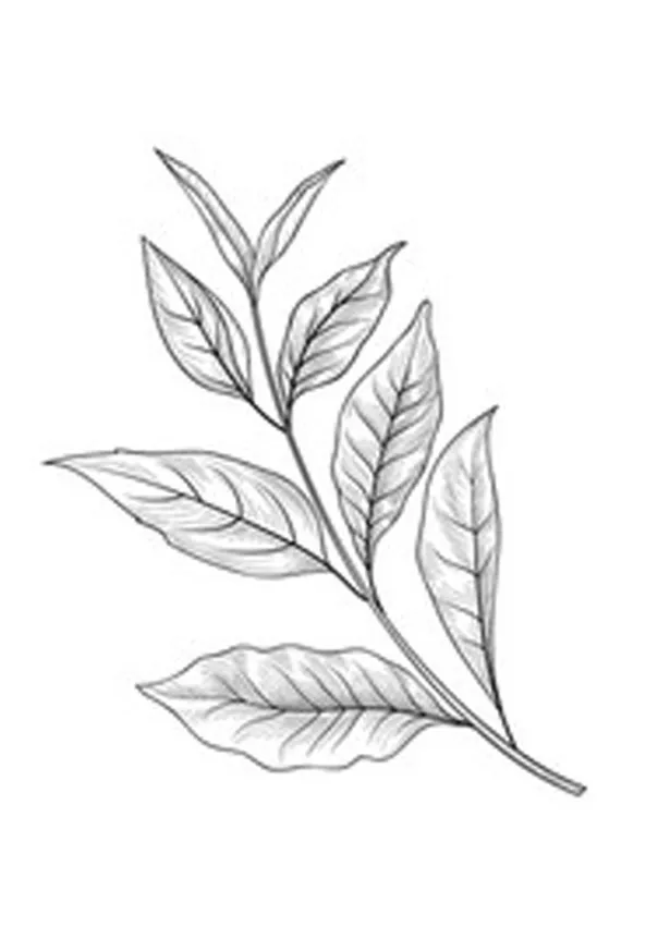 Coloring pages s for kids