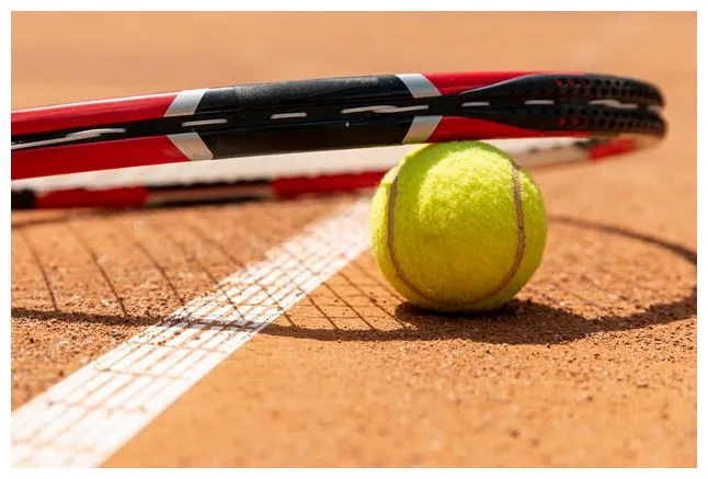 Cricket Tennis Ball Pictures | Freepik