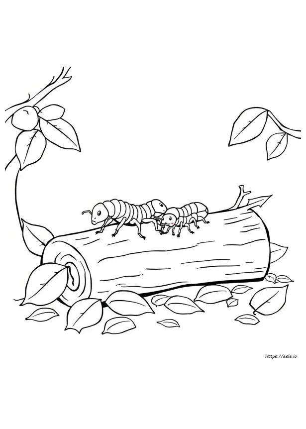 Termite coloring page