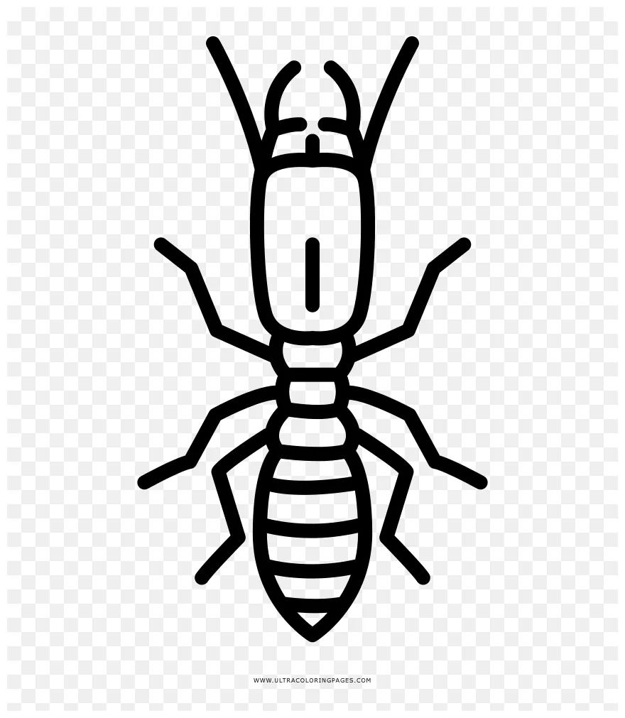 Termite icon, png download vhv