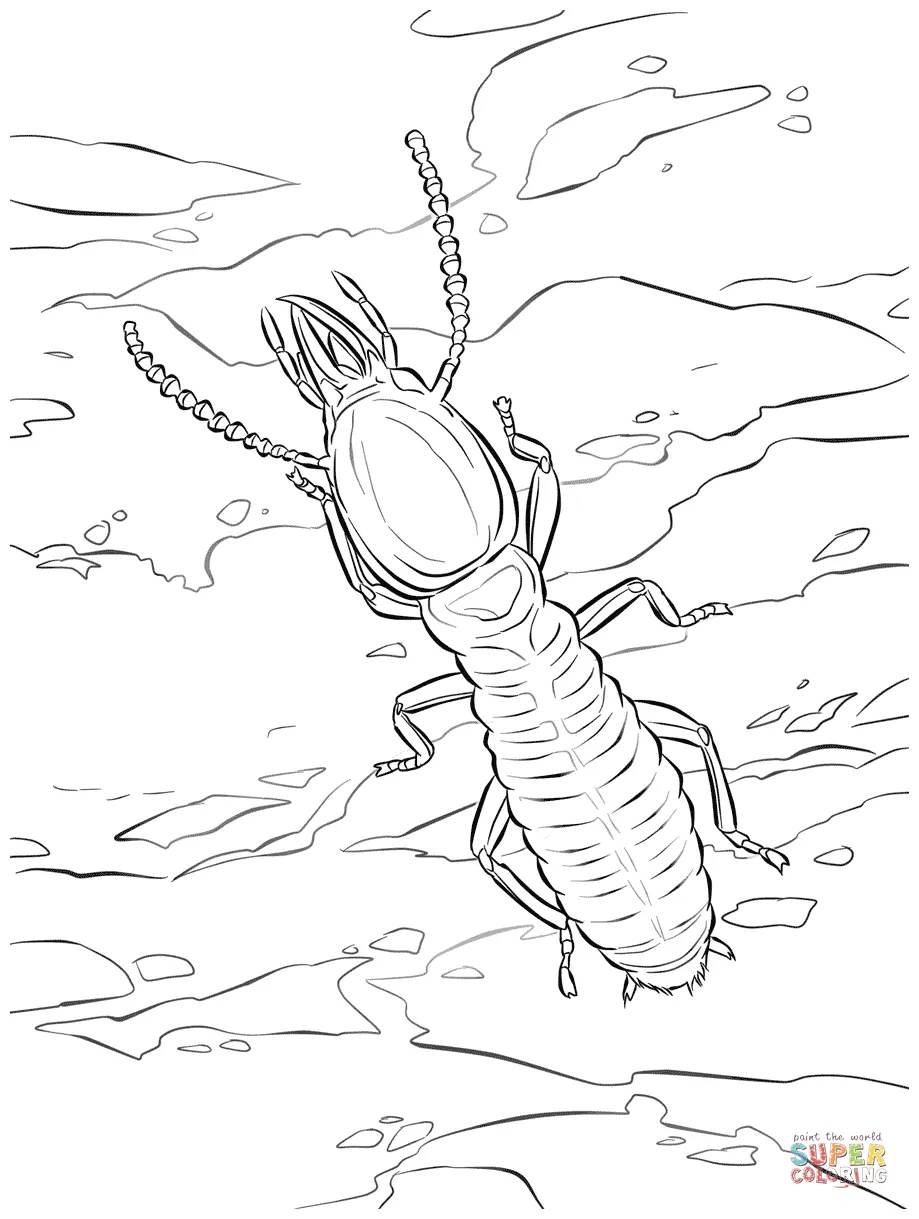 Antz coloring pages printable coloring page