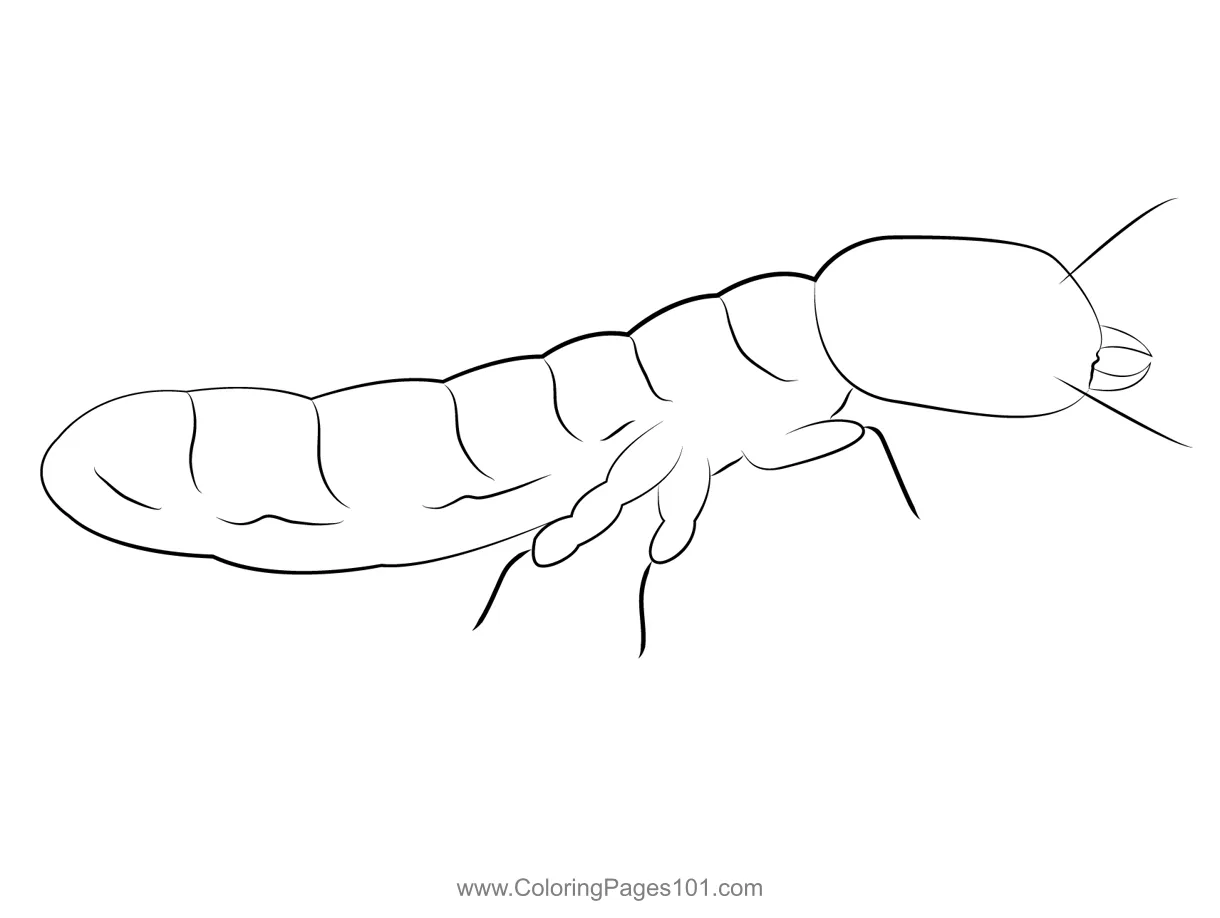 Drywood termite soldier coloring page for kids free termites