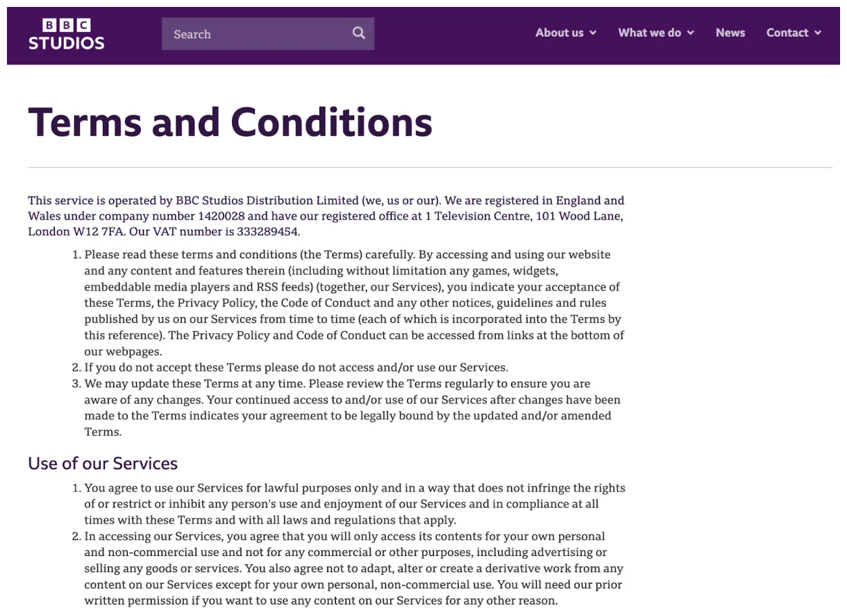 16 terms and conditions examples [+ free template]