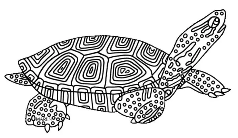Coloring pages terrapin, printable for kids & adults, free