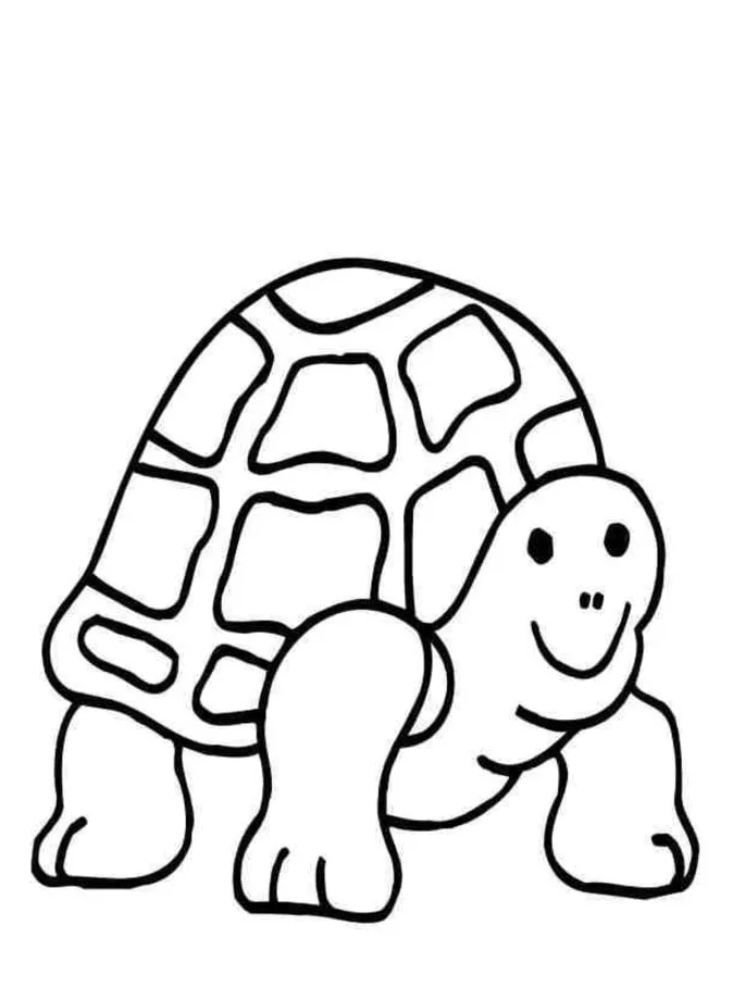 Coloring pages coloring pages terrapin, printable for kids & adults, free