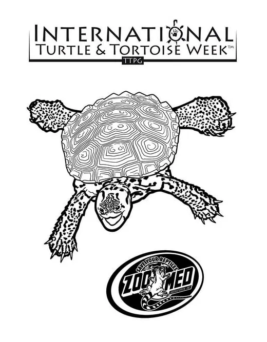 Diamondback coloring coloring pages