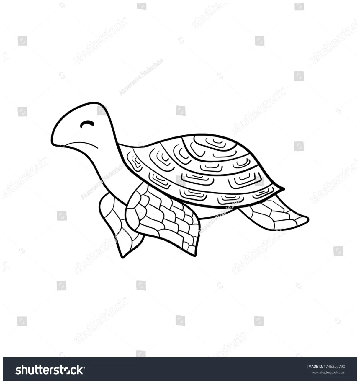 Coloring book page turtle handdrawn terrapin stock vector