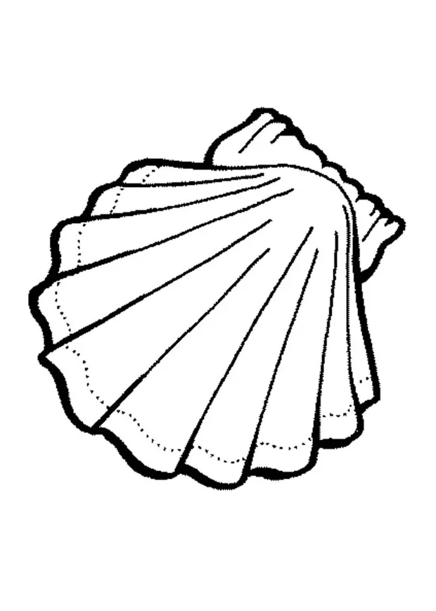 Shell coloring pages to download and print for free
