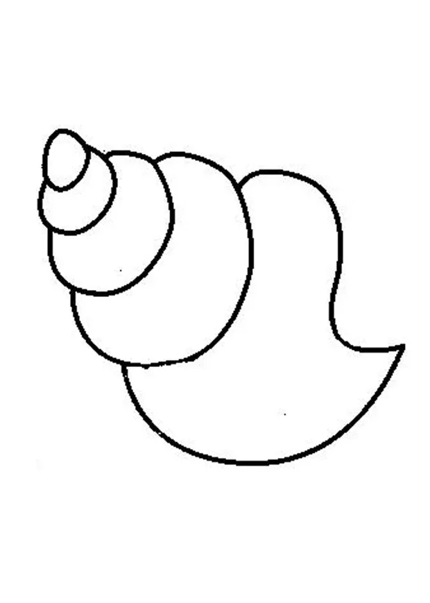 Shell coloring pages to download and print for free