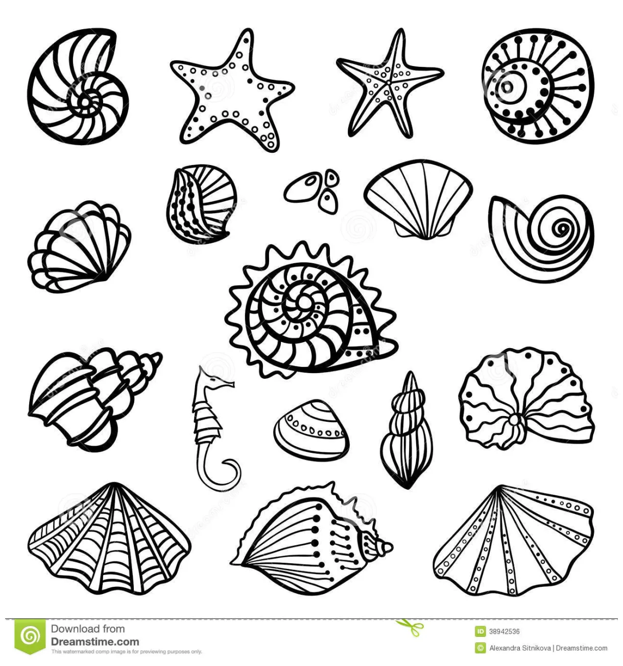 Shell coloring pages to download and print for free