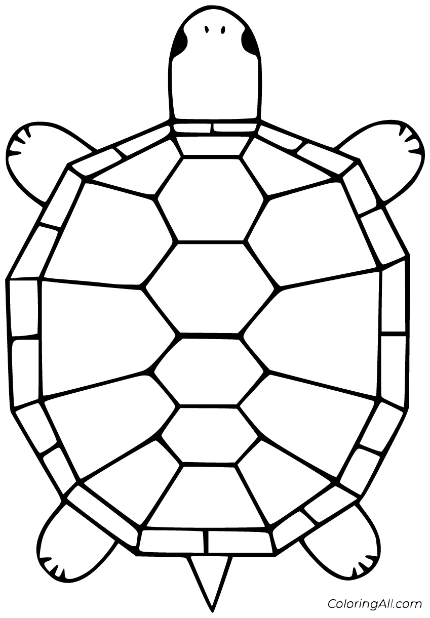 Terrapin coloring pages 22 free printables coloringall