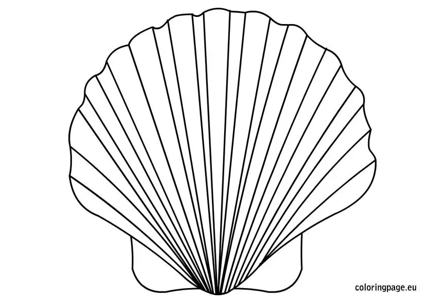 Shell coloring page coloring page