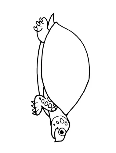 Cute terrapin coloring page free printable coloring pages