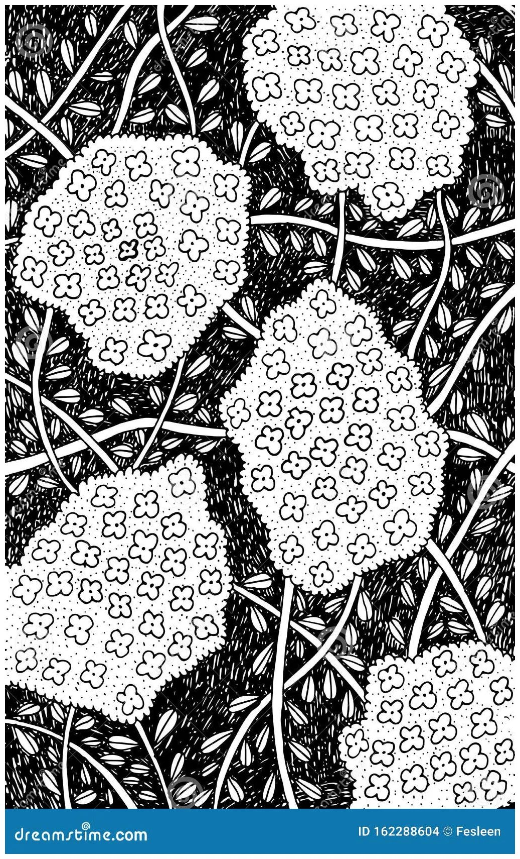 Thyme Coloring Page For Children: Haworthia Fasciata Plant Royalty-Free