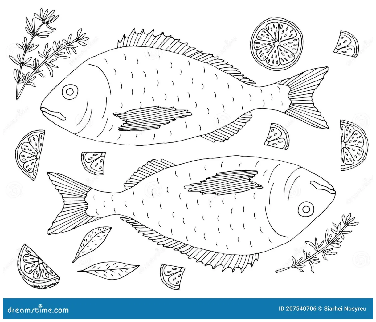 Thyme Coloring Page For Kids: Haworthia Fasciata Plant In Cartoon Style