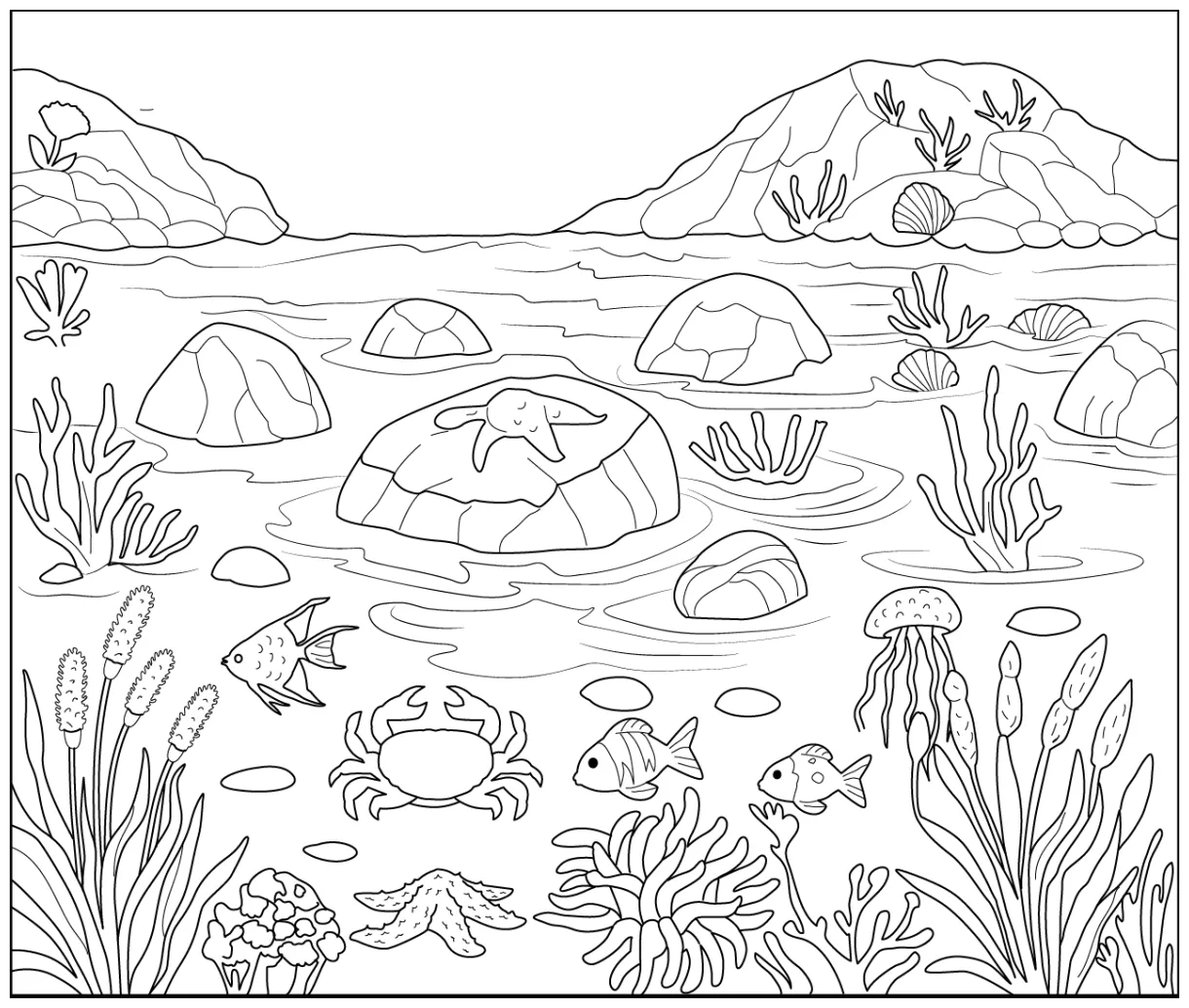 Tide pool coloring page free printable pdf for kids