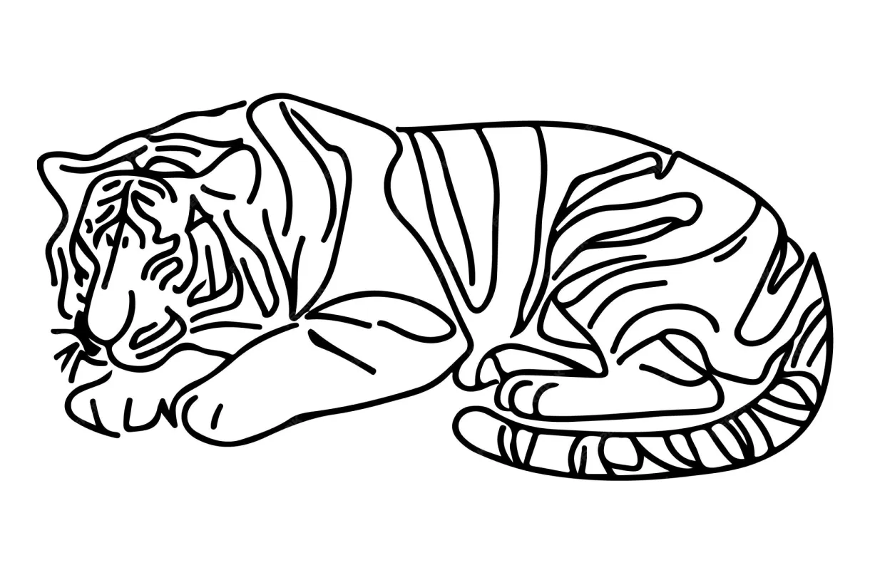 Premium vector coloring page of a tiger