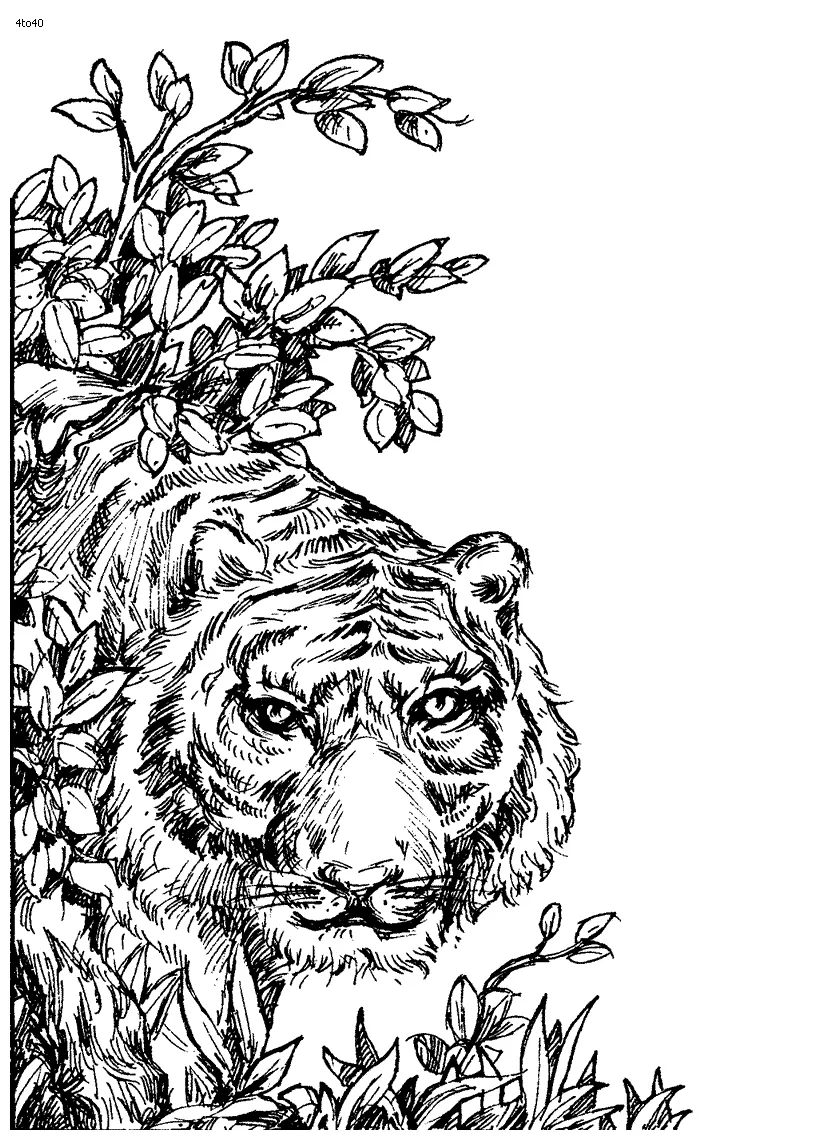 Kids portal for parents