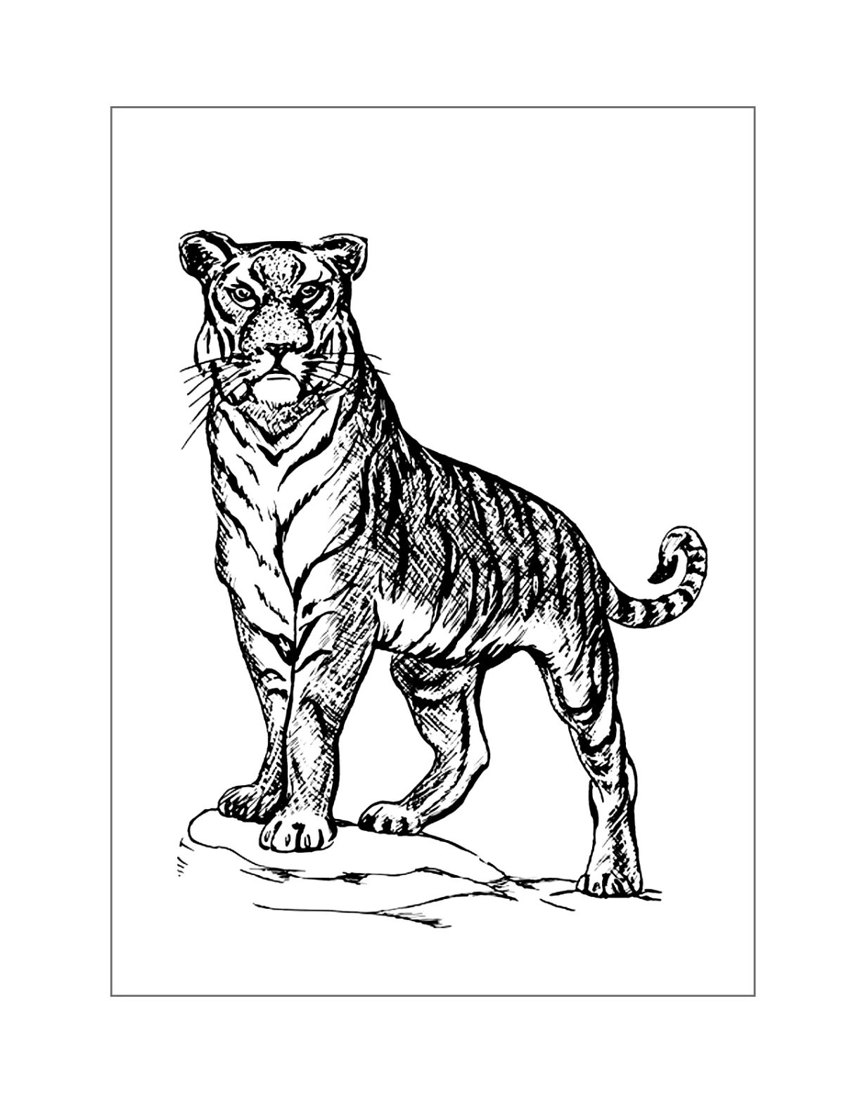 S printable coloring pages. free