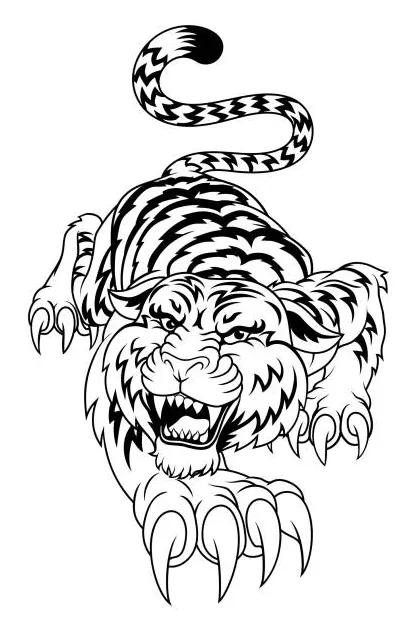 80+ tiger stalking prey stock illustrations, royalty-free vector