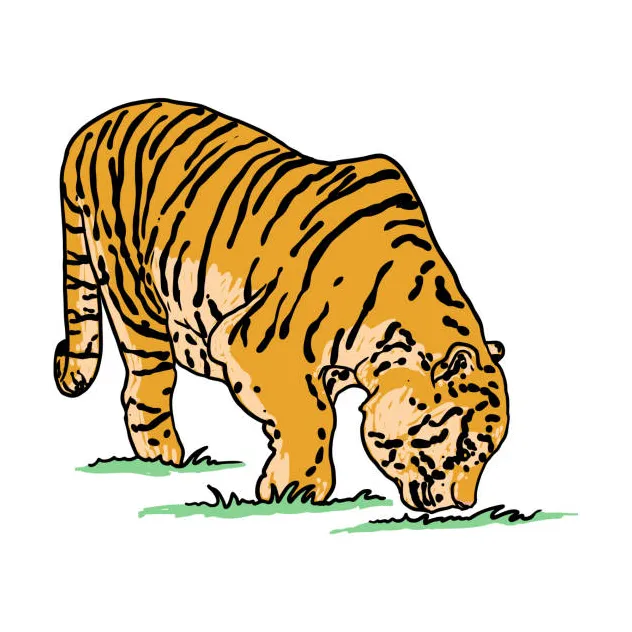 Tiger stalking prey illustrations, royalty-free vector graphics & clip