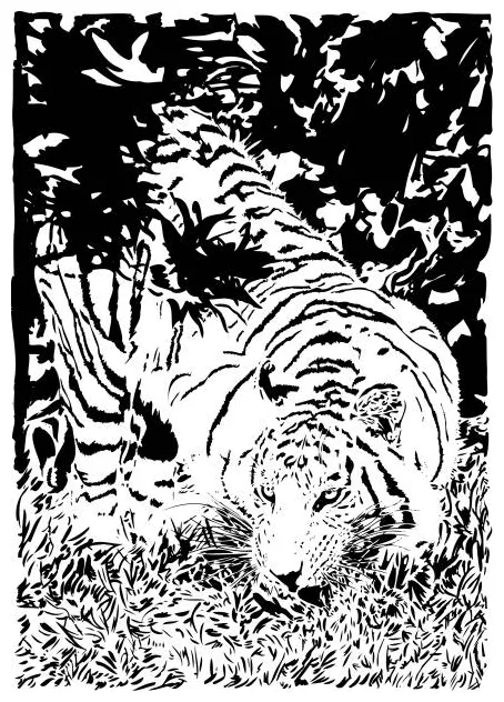 Tiger stalking prey illustrations, royalty-free vector graphics & clip