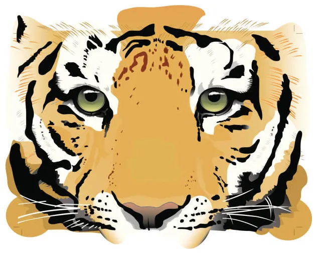 Tiger stalking prey illustrations, royalty-free vector graphics & clip