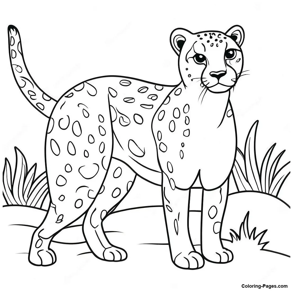Cheetah stalking prey coloring page coloring-pages printable coloring page
