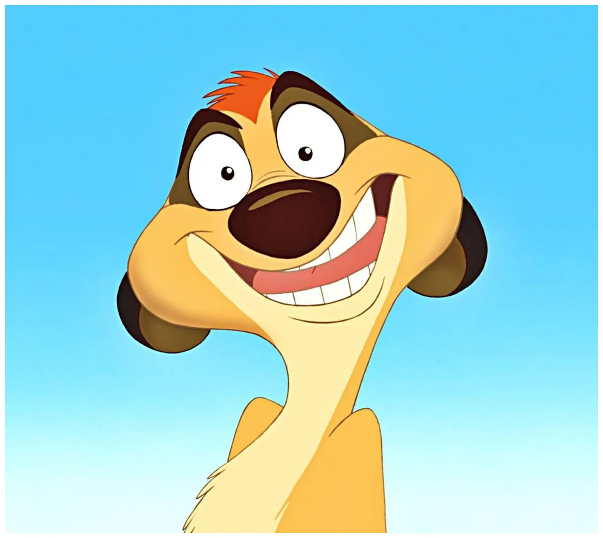 Timón Wallpapers - Top Free Timón Backgrounds - WallpaperAccess