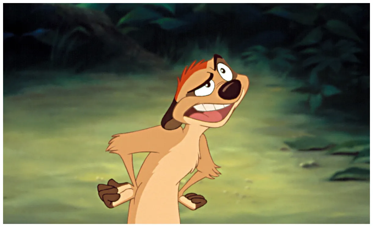 Lion King Characters Timon